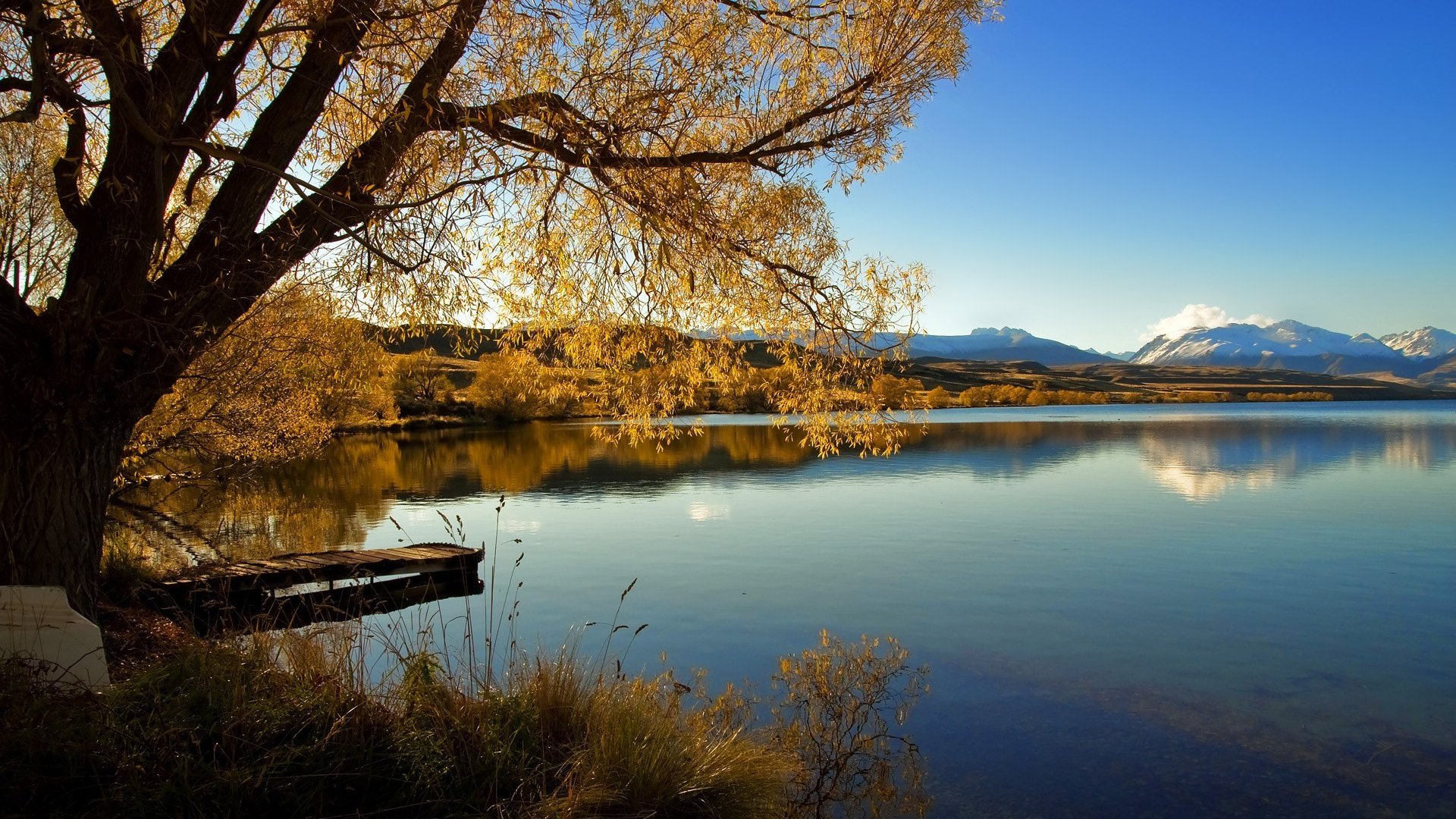 世界短跑社区扶持基金启动：支持基层教练与场地建设，世界短跑锦标赛